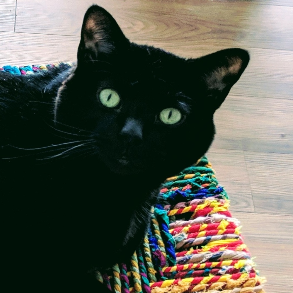 Meet your Posher, Charlie